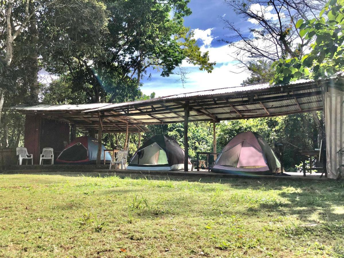 Campsite Mount Avangan Eco Adventure Park *