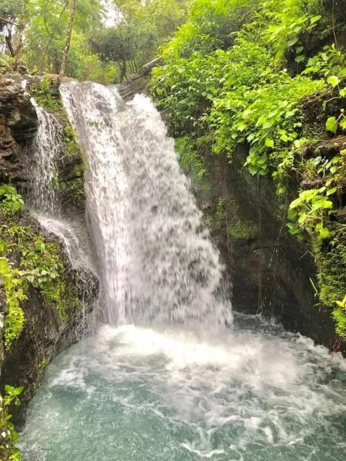 Mount Avangan Eco Adventure Park * Coron