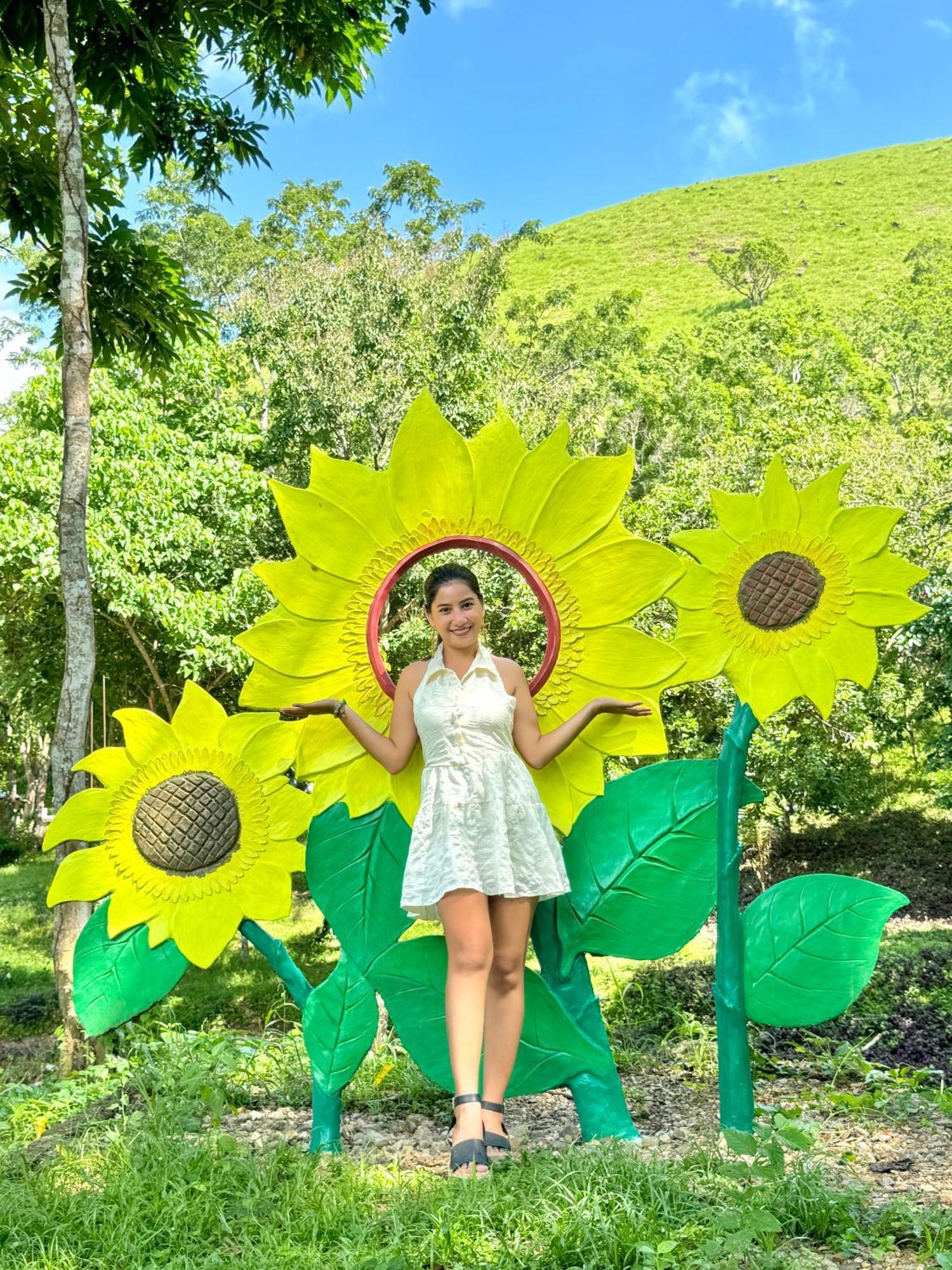 Mount Avangan Eco Adventure Park Campsite